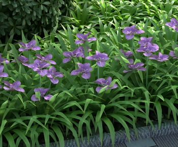 Modern Flowers And Grass-ID:637135989