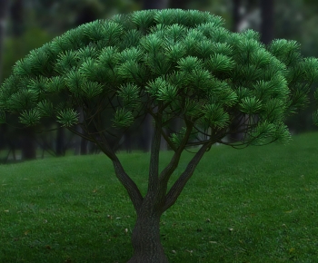 Modern Tree-ID:636576899