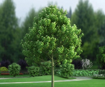 Modern Tree-ID:294337993
