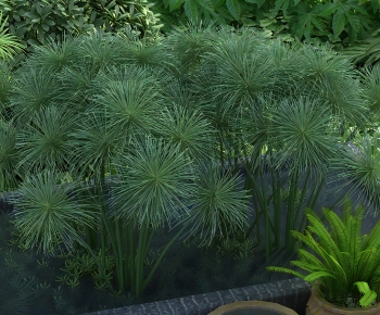 Modern The Grass-ID:125695944