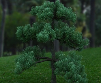 Modern Tree-ID:633629089