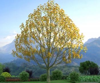 Modern Tree-ID:823082925