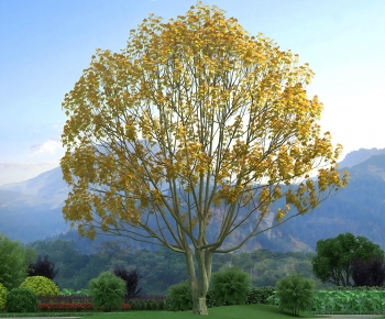 Modern Tree-ID:427361974