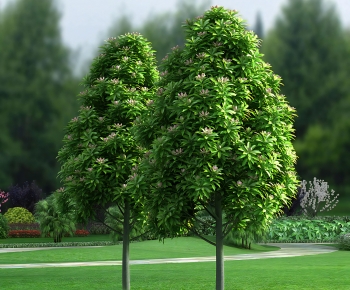 Modern Tree-ID:431884058