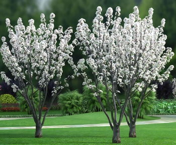 Modern Tree-ID:235433106