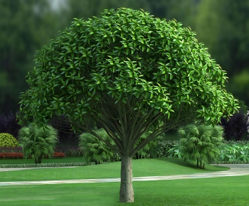 Modern Tree-ID:933154119