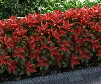 Modern Shrubbery-ID:233760126