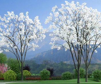 Modern Tree-ID:564476011