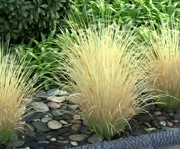 Modern The Grass-ID:292027002
