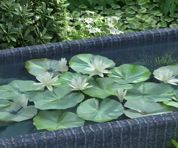 Modern Flowers And Grass-ID:727291188