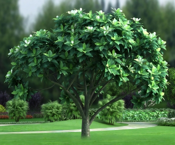 Modern Tree-ID:256836898