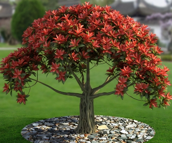 Modern Shrubbery-ID:882023105