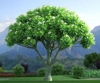 Modern Tree-ID:457592016