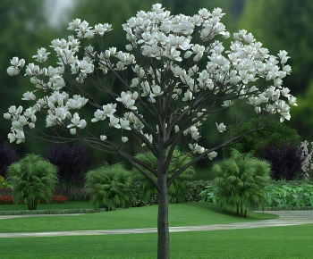 Modern Tree-ID:670072085