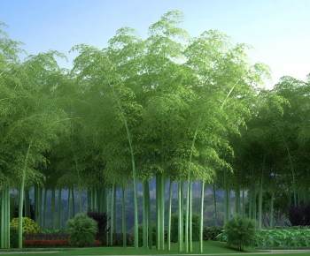 Modern Bamboo-ID:631759883