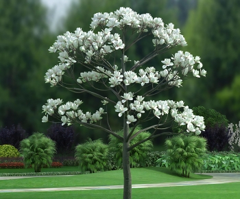 Modern Tree-ID:365564112