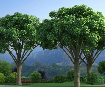 Modern Tree-ID:187063937