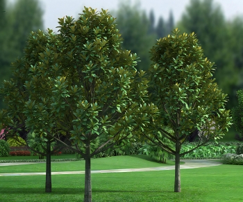 Modern Tree-ID:254849915