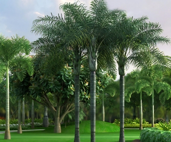 Modern Tree-ID:980794915