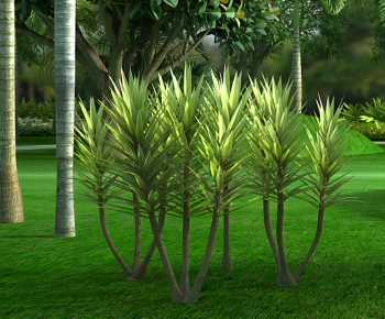 Modern Shrubbery-ID:591784003