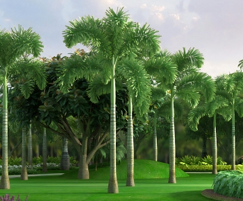 Modern Tree-ID:612246992