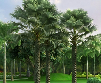 Modern Tree-ID:540926936