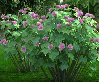 Modern Shrubbery-ID:135395058