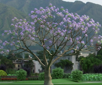 Modern Tree-ID:557907109