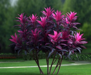Modern Shrubbery-ID:157629978