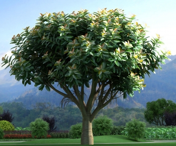 Modern Tree-ID:611510357