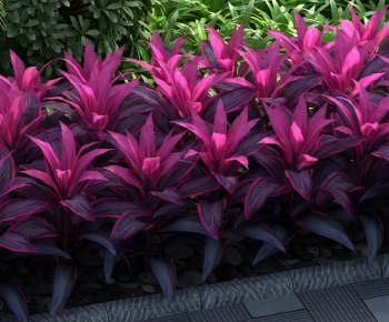 Modern Flowers And Grass-ID:424202922