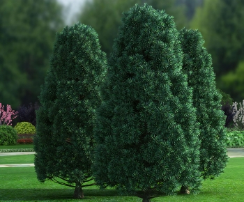 Modern Tree-ID:290150612