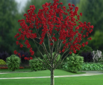 Modern Tree-ID:843678959