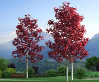 Modern Tree-ID:746840009