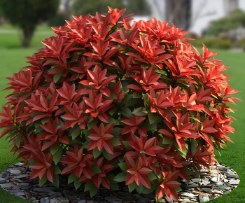 Modern Shrubbery-ID:481148961