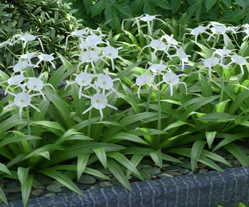 Modern Flowers And Grass-ID:986402996