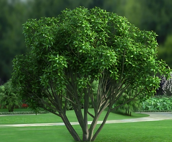 Modern Tree-ID:427739682