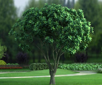 Modern Tree-ID:134428982