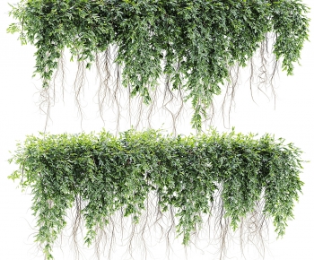 Modern Vine-ID:592508082