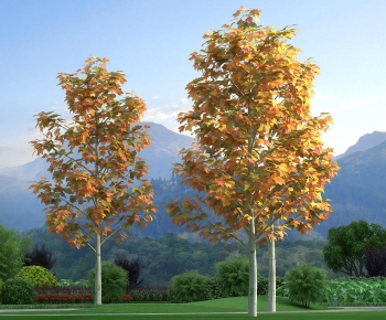 Modern Tree-ID:487523088