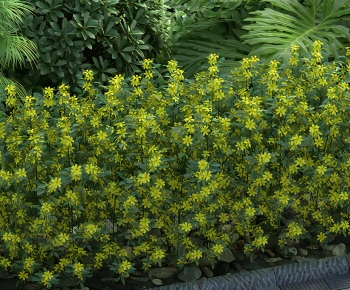 Modern Flowers And Grass-ID:119554045