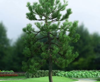 Modern Tree-ID:724752904