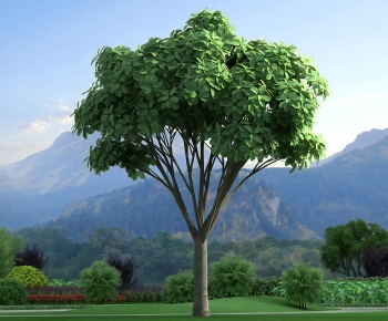 Modern Tree-ID:642959129