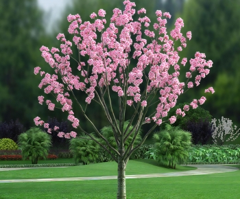 Modern Tree-ID:515203006