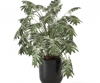 Modern Potted Green Plant-ID:249042999