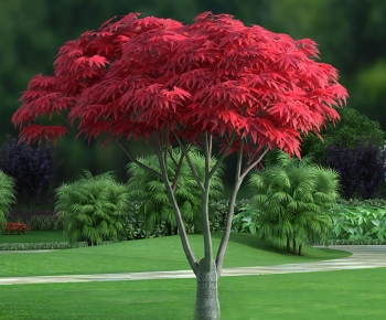 Modern Tree-ID:950069481