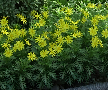 Modern Flowers And Grass-ID:431529056