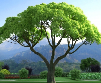 Modern Tree-ID:715223073