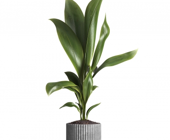 Modern Ground Green Plant Potted Plants-ID:118736982