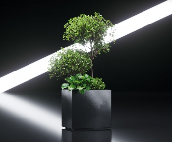 Modern Flower Bed, Flower Bowl, Flower Box-ID:755441297